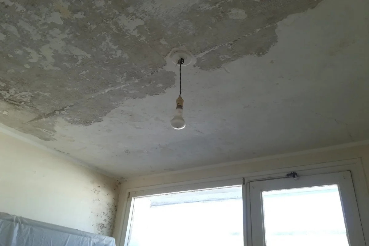 Colorea Concept Peinture Interieure Ploudalmezeau Enduisage